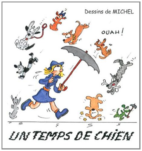 Stock image for Un temps de chien - Michel - Livre for sale by EPICERIE CULTURELLE