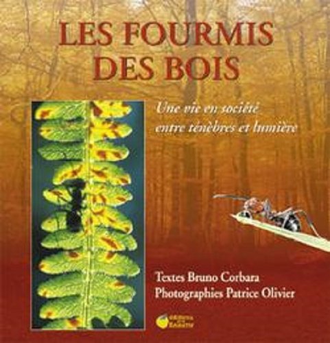 Beispielbild fr Les fourmis des bois zum Verkauf von Ammareal