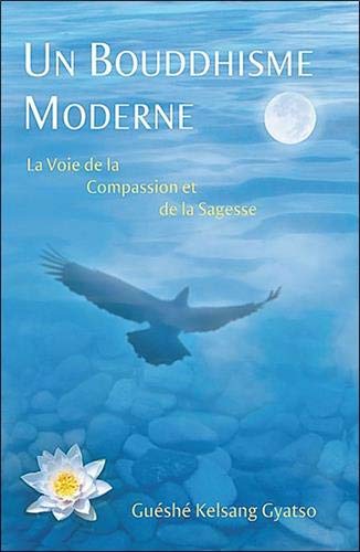 Beispielbild fr Un Bouddhisme moderne : La voie de la compassion et de la sagesse zum Verkauf von medimops