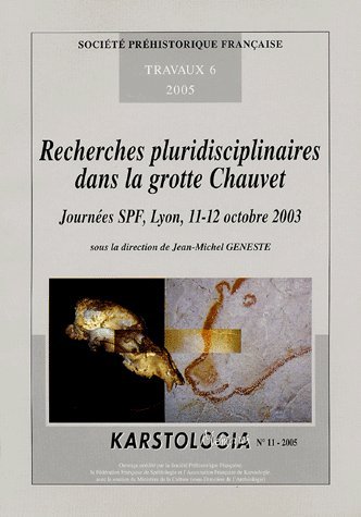 Stock image for Recherches pluridisciplinaires dans la grotte Chauvet: Journes SPF, Lyon, 11-12 octobre 2003 for sale by LeLivreVert