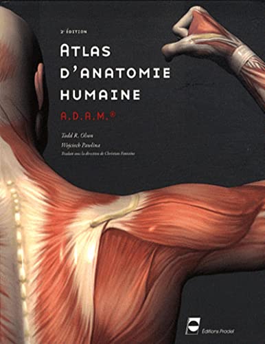 Stock image for Atlas d'anatomie humaine ADAM for sale by medimops