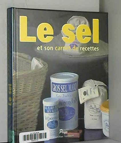 Stock image for Le sel - et son carnet de recettes [Hardcover] Caroline Audibert for sale by LIVREAUTRESORSAS