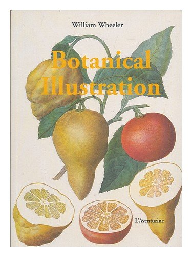 Beispielbild fr Botanical Illustration zum Verkauf von A Squared Books (Don Dewhirst)
