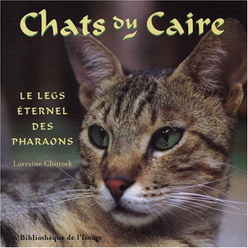 9782914239417: Chats du Caire - Legs ternel des pharaons (French Edition)