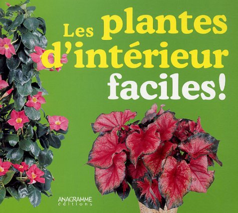 Beispielbild fr Les plantes d'intrieur faciles ! zum Verkauf von Ammareal