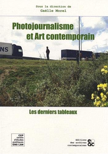 Beispielbild fr Photojournalisme Et Art Contemporain : Les Derniers Tableaux zum Verkauf von RECYCLIVRE