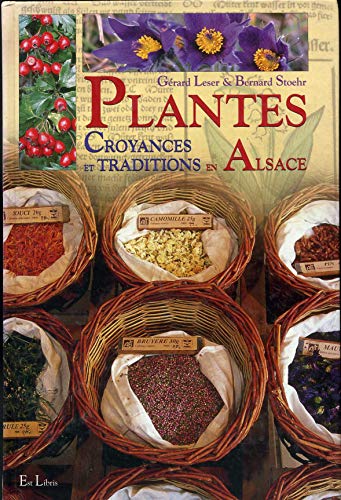 Beispielbild fr Plantes, Croyances Et Traditions En Alsace zum Verkauf von RECYCLIVRE