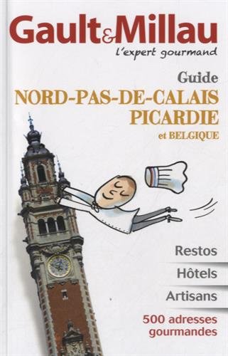 Stock image for Guide Nord-Pas-de-Calais, Picardie et Belgique for sale by Ammareal