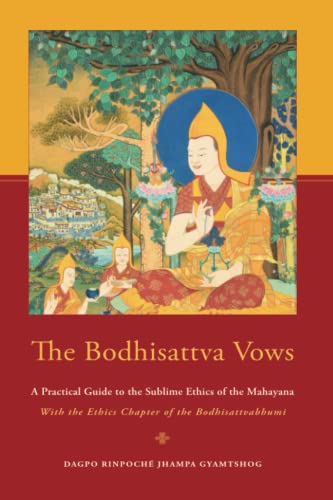 Stock image for The Bodhisattva Vows for sale by PBShop.store US