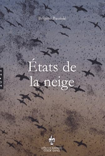 Stock image for Etats de la neige for sale by medimops