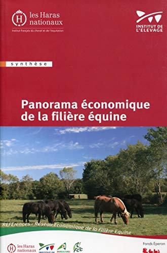 9782915250190: Panorama conomique de la filire quine