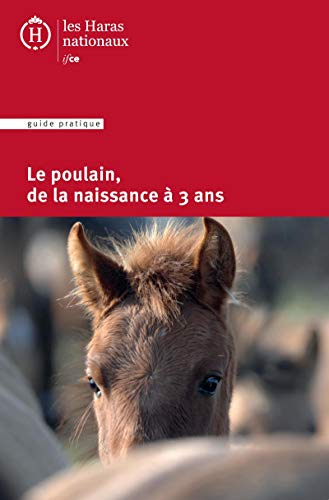 Stock image for Le poulain de la naissance  3 ans for sale by medimops