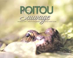 Stock image for Poitou sauvage for sale by Ammareal