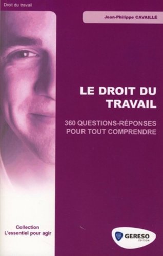 Beispielbild fr Le droit du travail: 360 questions-rponses pour tout comprendre zum Verkauf von Ammareal