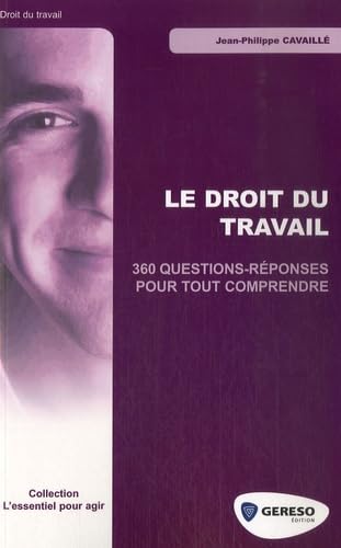 Stock image for Le droit du travail: 360 questions-rponses pour tout comprendre for sale by Ammareal