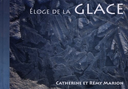 Stock image for Eloge de la glace for sale by medimops