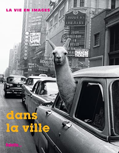 9782915710243: Dans la ville