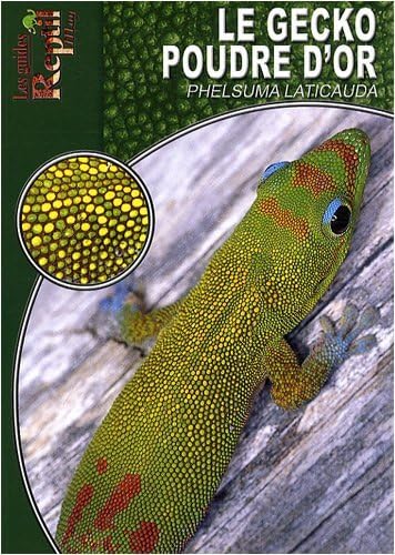 Beispielbild fr Le Gecko Poudre d'Or: Phelsuma Laticauda zum Verkauf von Ammareal