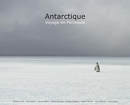 Beispielbild fr Antarctique - 3me dition: Voyage en Pninsule (ancienne dition : 9782843902598). zum Verkauf von Ammareal