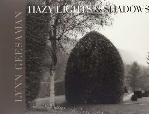 9782916249087: Hazy Lights and Shadows