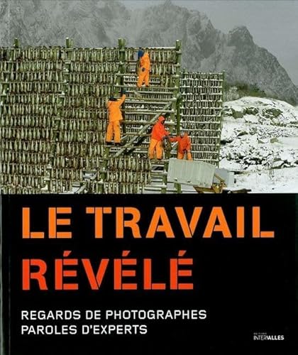 Beispielbild fr Le travail rvl: Regards de photographes, paroles d'experts zum Verkauf von Ammareal