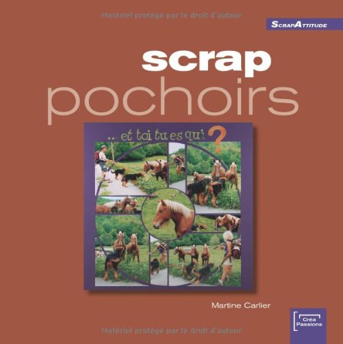 Stock image for Scrap pochoirs for sale by medimops