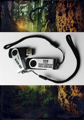 Beispielbild fr YOJO (LIVRE AUDIO SUR CLE USB 32 GB) zum Verkauf von Gallix
