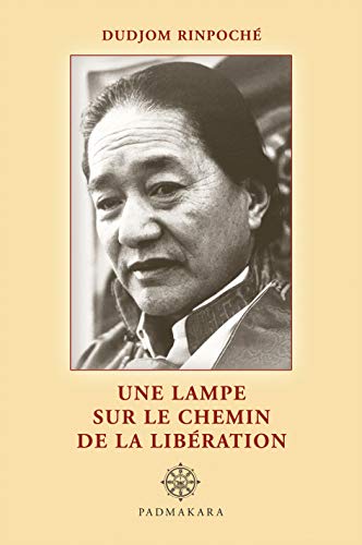 9782916915647: Une lampe sur le chemin de la libration