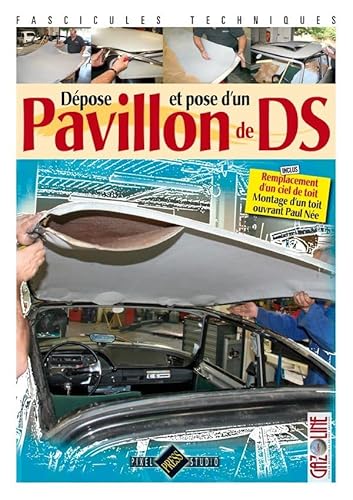 9782917038338: Dpose et pose d'un pavillon de DS