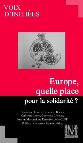 Beispielbild fr EUROPE , QUELLE PLACE POUR LA SOLIDARITE ? - GLFF / VOIX D'INITIEES zum Verkauf von medimops