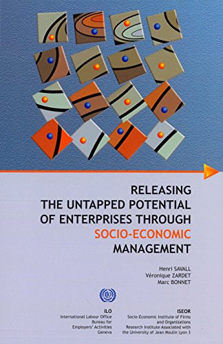 Stock image for Releasing the untapped Potential of Enterprises through socio-economic Management for sale by Irish Booksellers