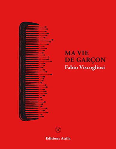 Stock image for Ma vie de garçon Viscogliosi, Fabio for sale by LIVREAUTRESORSAS