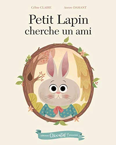 Stock image for Petit Lapin cherche un ami for sale by Ammareal