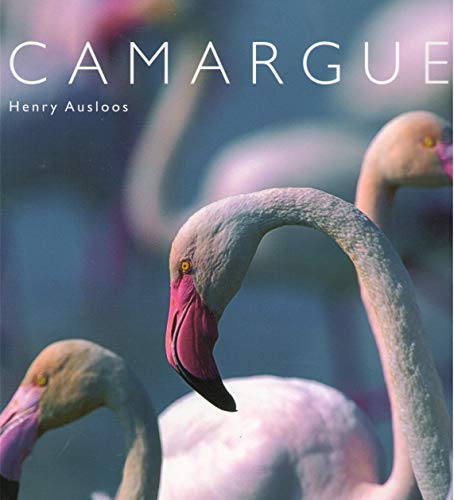 Beispielbild fr Camargue: Edition bilingue franais-anglais zum Verkauf von Ammareal