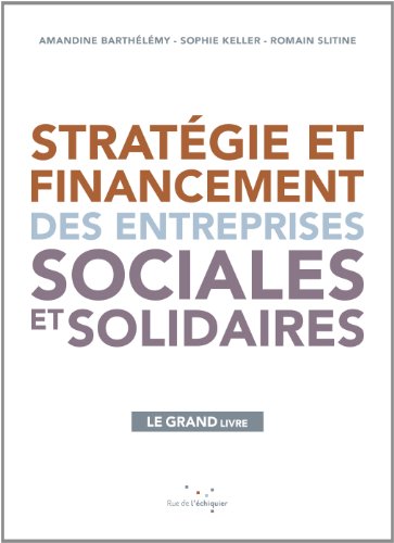 9782917770610: Stratgie et financement des entreprises sociales et solidaires