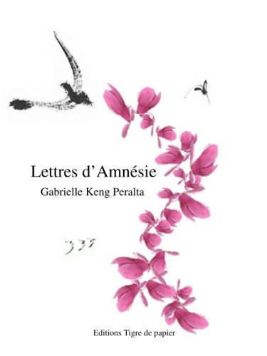 Imagen de archivo de Lettres d'Amnsie a la venta por Librairie Th  la page