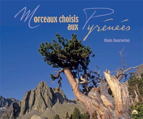 Stock image for Morceaux choisis aux Pyrnes for sale by medimops