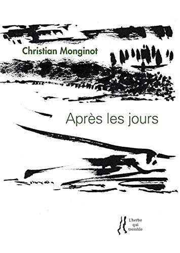 Stock image for Christian Monginot : Aprs les jours for sale by Gallix