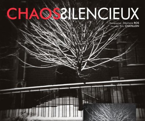Stock image for Chaos silencieux for sale by Ammareal