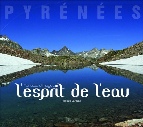 Stock image for L'esprit de l'eau for sale by Ammareal