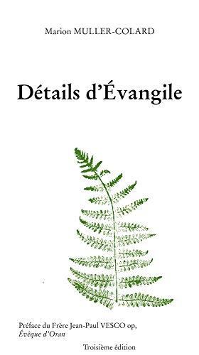 Stock image for Dtails d'Evangile for sale by Revaluation Books
