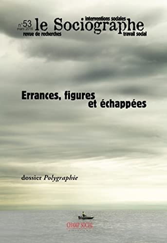 9782918621287: Le Sociographe N53, Errances, Figures Et Echappees