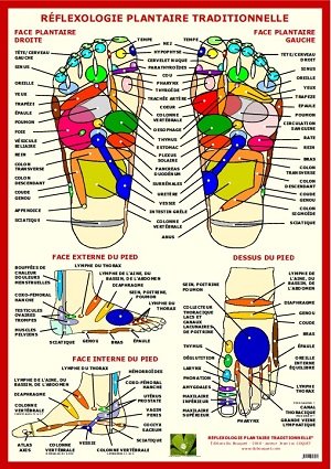 9782918798019: Planche Rflexologie Plantaire Traditionnelle A4