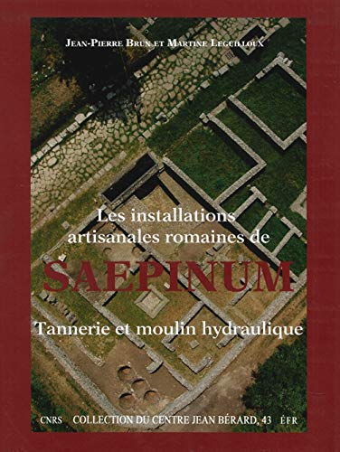 9782918887188: Les installations artisanales romaines de Saepinum. Tannerie et moulin hydraulique