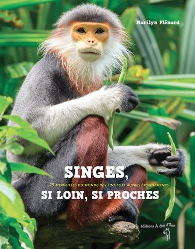Stock image for Singes, Si Loin, Si Proches : 25 Merveilles Du Monde Des Singes Et Autres tonnements for sale by RECYCLIVRE