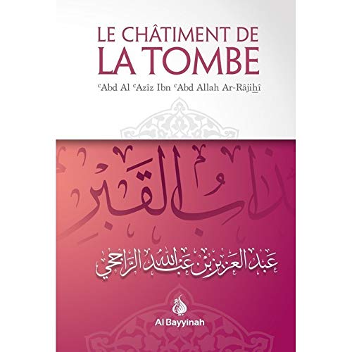 Stock image for Le Chatiment de la Tombe for sale by medimops