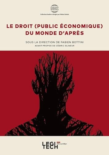 Stock image for Le droit (public conomique) du monde d'aprs (Tome 6) for sale by Gallix