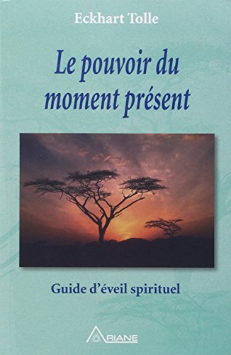 Beispielbild fr Le Pouvoir du moment prsent : Guide d'veil spirituel zum Verkauf von Better World Books