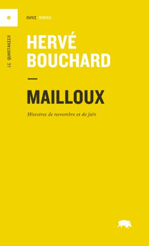 Stock image for Mailloux : Histoires de Novembre et de Juin: Roman for sale by Better World Books Ltd