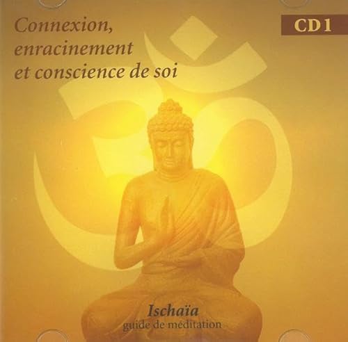 Imagen de archivo de Connexion , enracinement et conscience de soi - Livre audio a la venta por Gallix